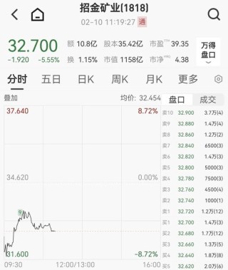 千亿黄金股大跌5%，旗下金矿发生事故致7人死亡，最新回应