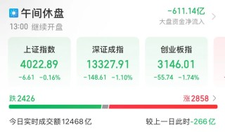 逆市集体上涨 龙头双双创新高！