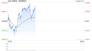 黄金去年的疯狂难以复制？投行目标价现巨大分歧