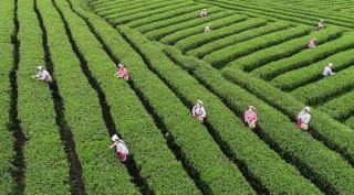 乾兴平署名文章：牢记嘱托 奋力在中国式现代化进程中展现贵州新风采