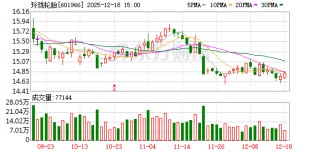 玲珑轮胎：玲珑塞尔维亚工厂为中国胎企在欧洲建立的首个生产基地，主要销售区域定位欧洲市场