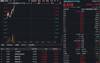 港股医疗强势续涨，华宝基金港股通医疗ETF（159137）直线拉升2%！机构：看好创新、出海及AI医疗新方向