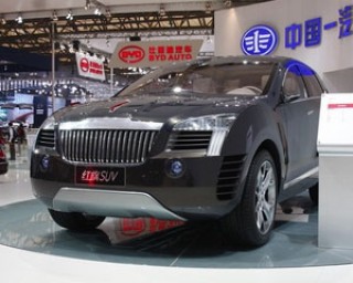 头的股票的特点和投资策略是什么？这种投资策略的风险如何控制？