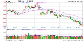光大期货软商品类日报6.16