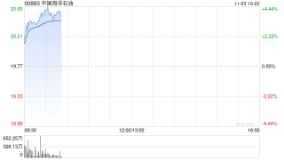 港股石油股拉升，中海油涨超4%，OPEC+将于明年暂停增产