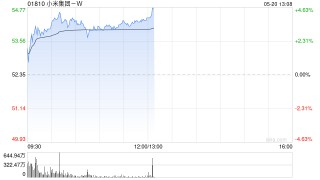 高盛：升小米集团-W目标价至62港元 评级“买入”