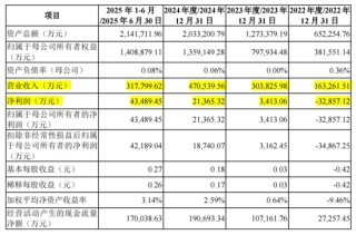 五大客户贡献九成收入，盛合晶微IPO无实控人
