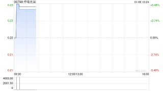 中电光谷早盘涨逾5% 公司深耕轻资产服务领域