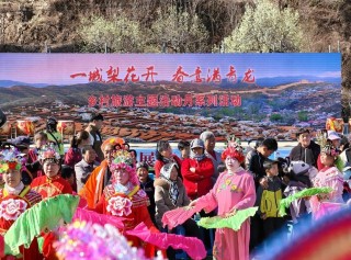 河北青龙：“花事”变“花市” 梨花盛景催生山乡产业新活力
