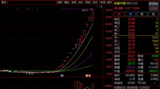 突发！603122，停牌核查！14天12涨停！