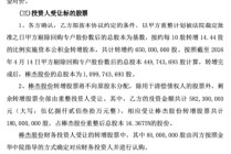 棒杰股份跨界光伏失速走到重整关口，美年大健康为何要用5个亿元拿下一家义乌服装老厂？| 长三角资本局