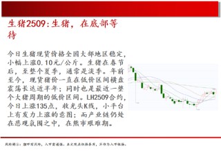 中天期货:白银继续回落 棕榈上涨减速
