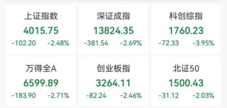 A股大跌，原因来了！公募最新研判