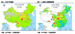 【妙笔花生】比面积更重要的是播种节奏