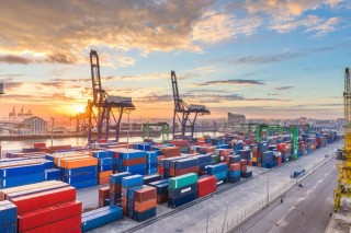 新西兰签证新政+乳品出口狂飙，纽币这波稳了？利率决议三大看点前瞻