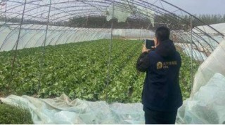 极端大风中，中国太保两小时完成首笔赔付