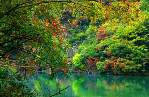 绿色电容的特性有哪些?这些特性在电子设备中的应用如何? 第1张 绿色电容的特性有哪些?这些特性在电子设备中的应用如何? 第1张