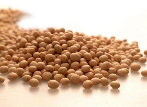 大豆期货的价格是如何波动的?这种波动对农业产业有何影响? 第1张 大豆期货的价格是如何波动的?这种波动对农业产业有何影响? 第1张