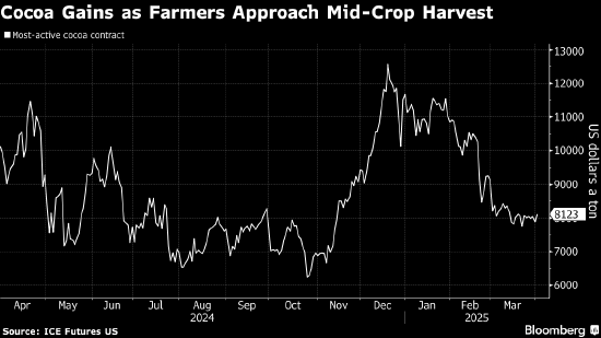 可可上涨 市场关注西非的作物中期收获 第1张 可可上涨 市场关注西非的作物中期收获 第1张