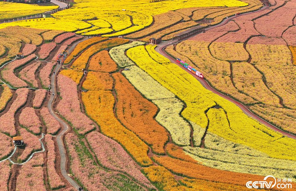 【8点见】深圳北地铁站发生人员踩踏?官方回应 第8张 【8点见】深圳北地铁站发生人员踩踏?官方回应 第8张