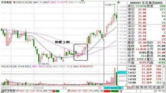 牛市赚钱氛围满满，一生仅有7个牛市机会，你错过了几个？从亏损蜕变成稳赚不赔  第10张