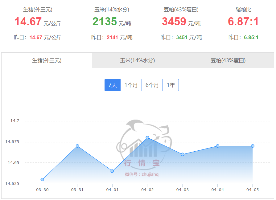 2025年4月6日国内生猪价格一览  第2张