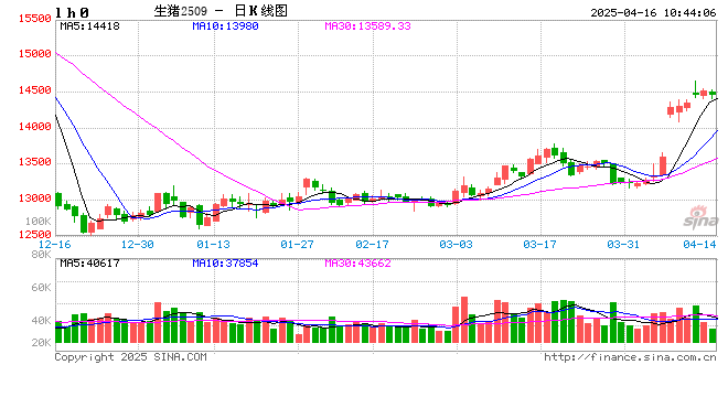 【市场聚焦】生猪:微利状态下的利润博弈 第2张 【市场聚焦】生猪:微利状态下的利润博弈 第2张