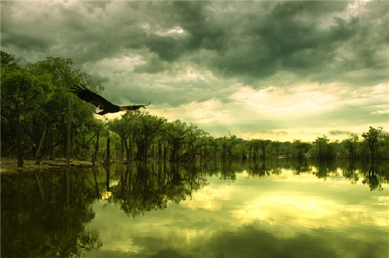 如何更换有骨雨刷?更换有骨雨刷的注意事项有哪些? 第1张 如何更换有骨雨刷?更换有骨雨刷的注意事项有哪些? 第1张