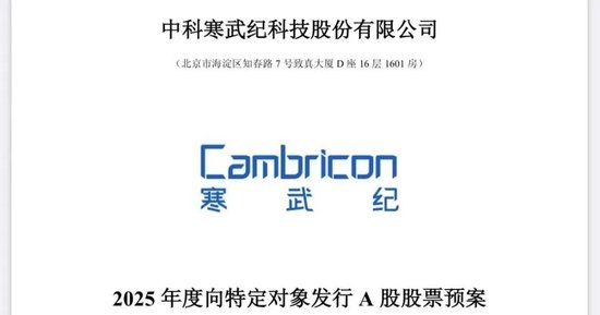 2900亿巨头突发！拟募资近50亿元，加码投资大模型芯片平台！  第1张