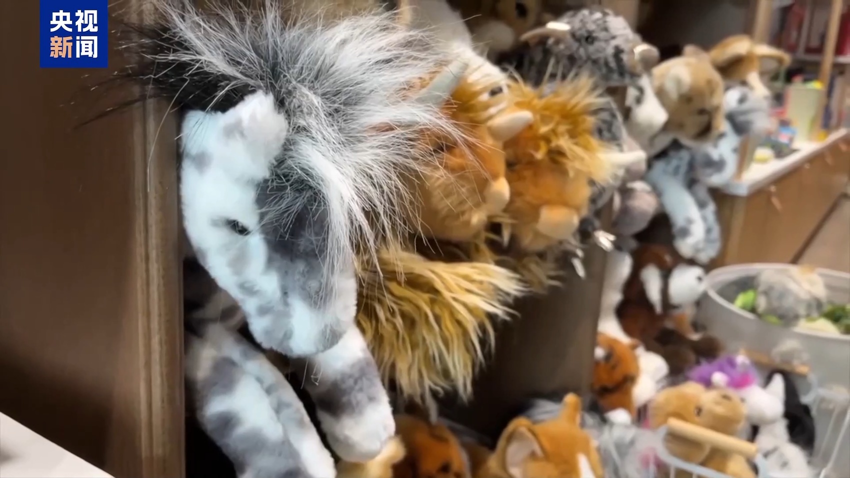 关税“毒药”自己吞？特朗普承认货架变空：美国小孩只能有2个玩具了  第3张