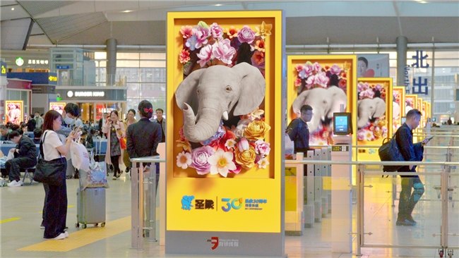 圣象全新裸眼3D大片上线,品牌数字化传播再升级 第2张 圣象全新裸眼3D大片上线,品牌数字化传播再升级 第2张