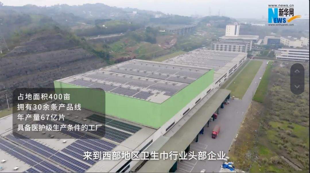 品效双赢:拆解自由点高铁卫生巾项目背后的品牌破局之道 第9张 品效双赢:拆解自由点高铁卫生巾项目背后的品牌破局之道 第9张