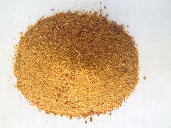 如何找到准确的豆粕期权行情来源?这些来源的可靠性如何评估? 第1张 如何找到准确的豆粕期权行情来源?这些来源的可靠性如何评估? 第1张