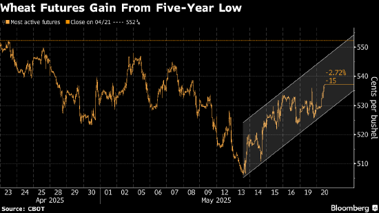小麦价格上涨 因有迹象显示主要进口国兴趣重燃  第1张