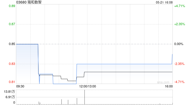 瑞和数智完成配售1.3亿股配售股份  第1张