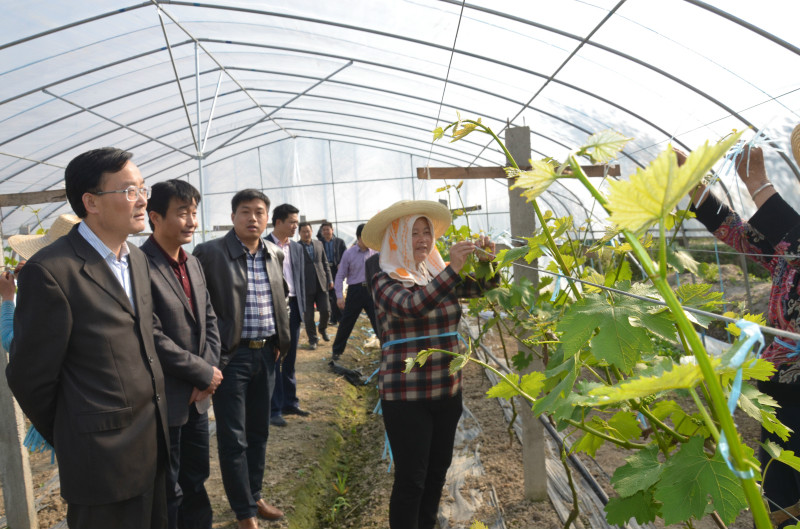 为何会出现通货膨胀及我国通货膨胀原因?通货膨胀有什么影响? 第1张 为何会出现通货膨胀及我国通货膨胀原因?通货膨胀有什么影响? 第1张