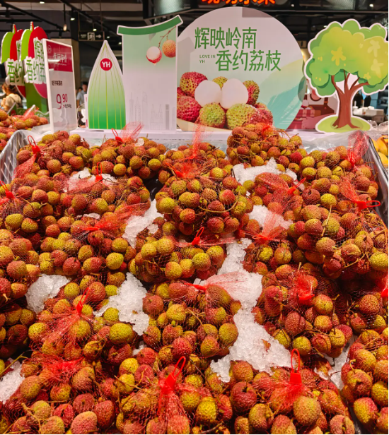 重生的TA | 一颗荔枝的轮回:从“靠天吃饭”到科技丰产 第2张 重生的TA | 一颗荔枝的轮回:从“靠天吃饭”到科技丰产 第2张