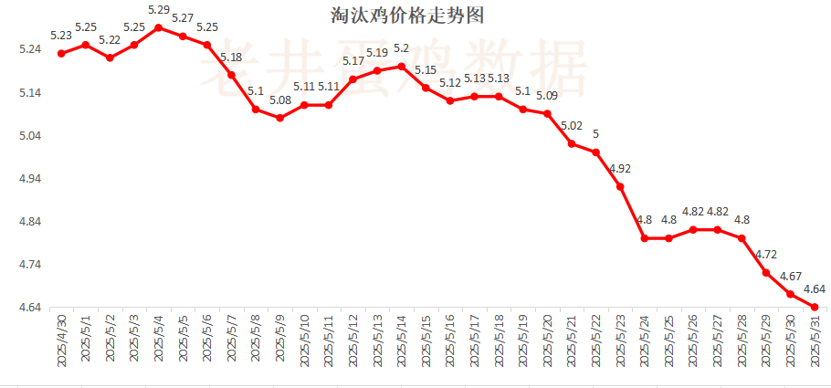 老井扯鸡蛋：昨日全国鸡蛋均价下跌 、淘汰鸡均价稳中有跌！  第3张