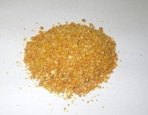 如何选择豆粕期权行情系统?该系统对交易决策有何作用? 第1张 如何选择豆粕期权行情系统?该系统对交易决策有何作用? 第1张