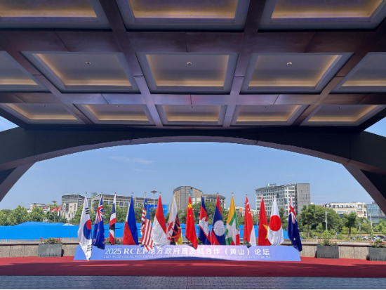 中国东方教育出席2025 RCEP成员国暨长三角工商界青年对话会 共话区域合作与青年发展新机遇 第1张 中国东方教育出席2025 RCEP成员国暨长三角工商界青年对话会 共话区域合作与青年发展新机遇 第1张