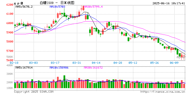 光大期货软商品类日报6.16 第2张 光大期货软商品类日报6.16 第2张