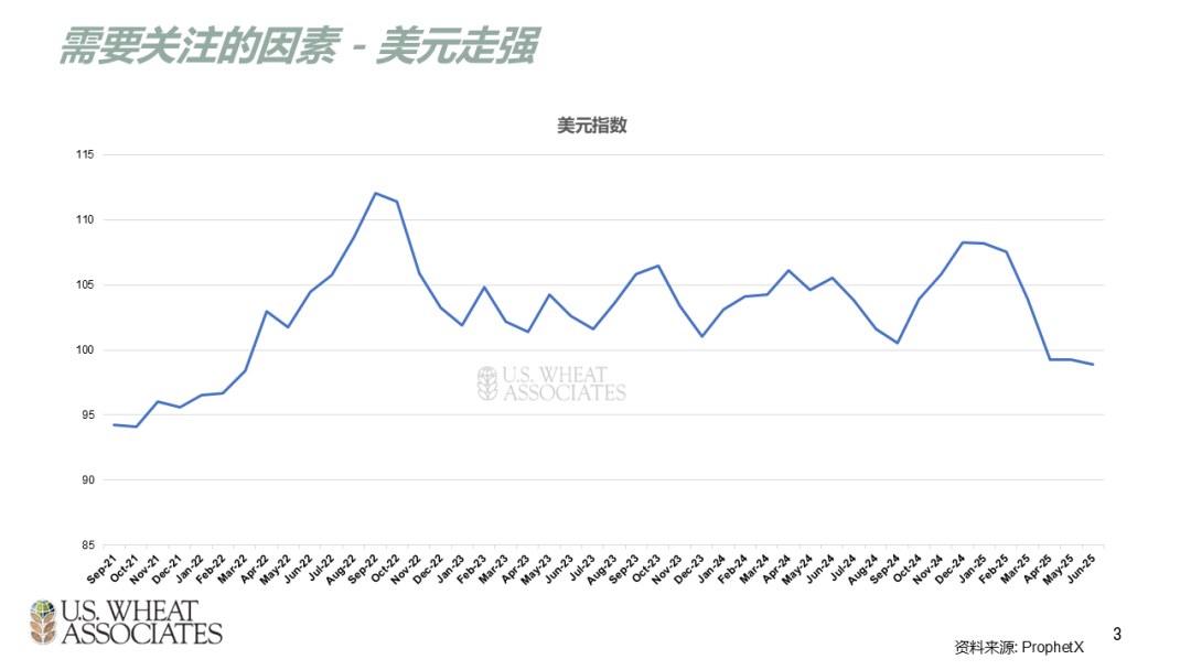 全球小麦供求情况报告 - 2025年6月  第6张