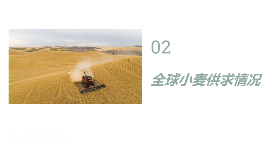 全球小麦供求情况报告 - 2025年6月  第9张