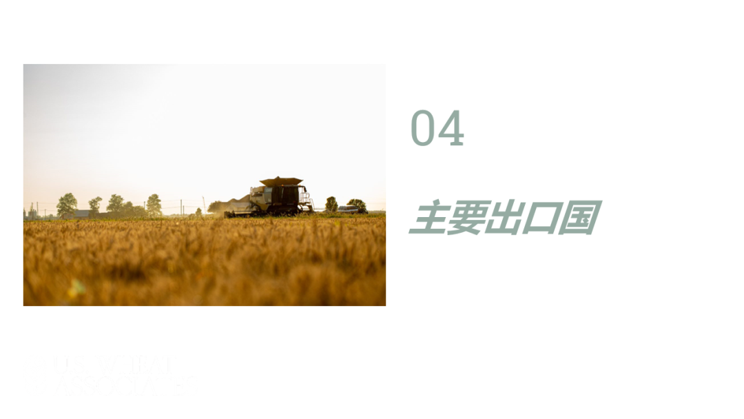 全球小麦供求情况报告 - 2025年6月  第46张