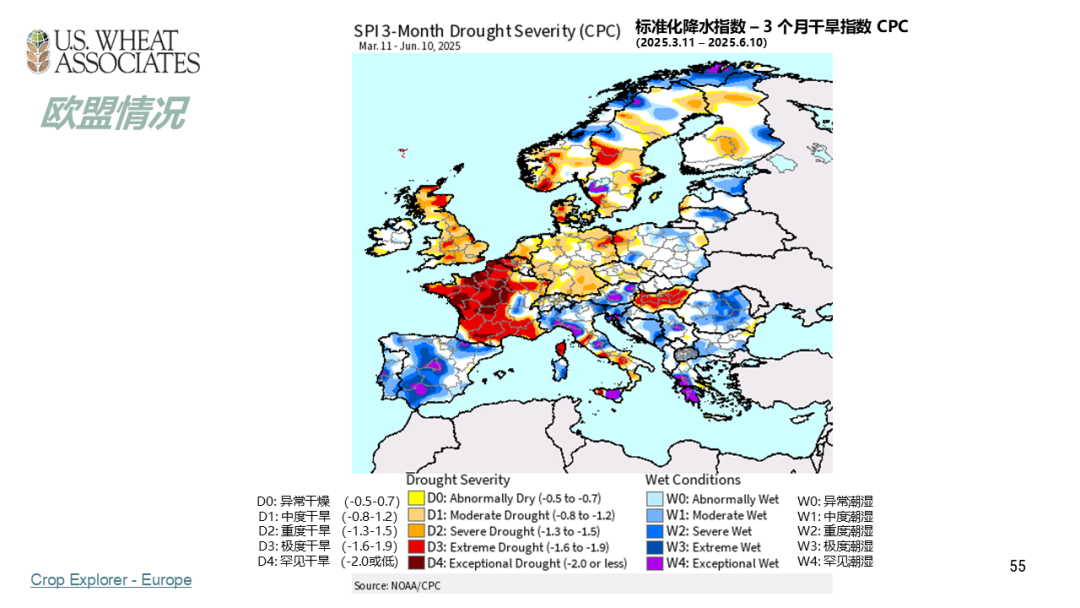 全球小麦供求情况报告 - 2025年6月  第58张
