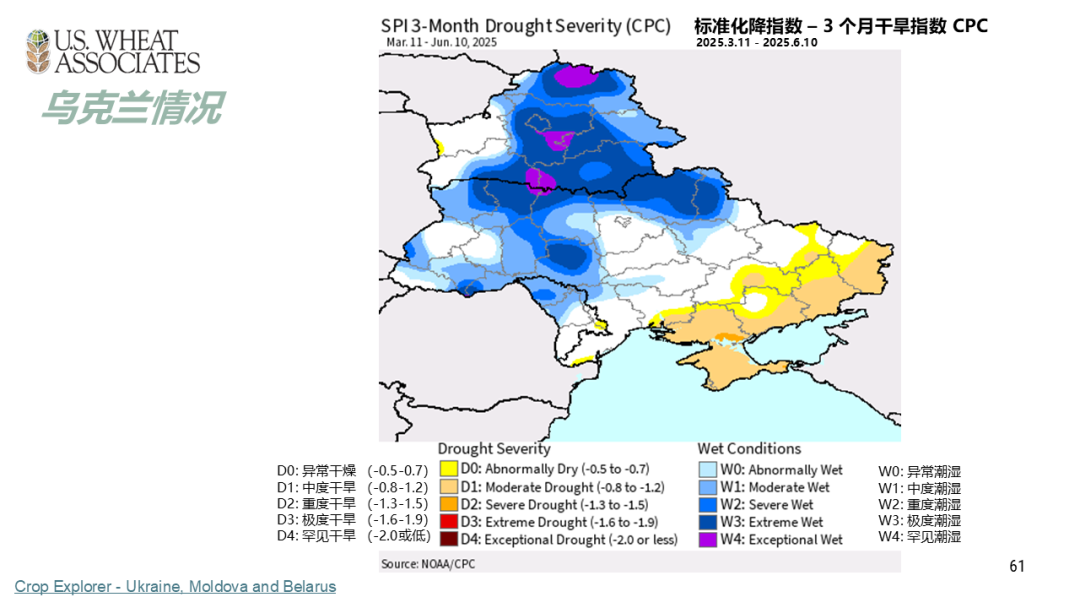全球小麦供求情况报告 - 2025年6月  第64张