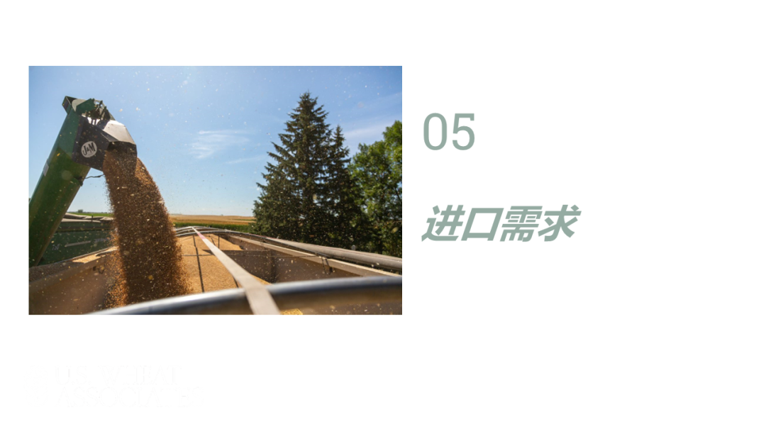 全球小麦供求情况报告 - 2025年6月  第69张