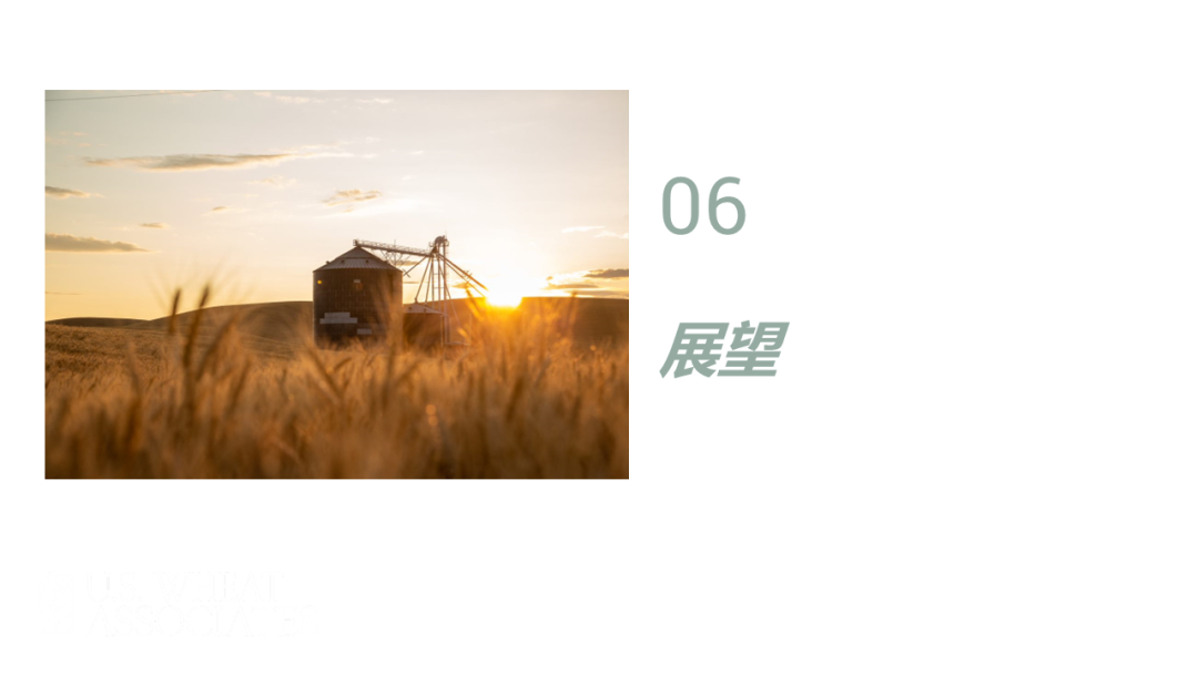 全球小麦供求情况报告 - 2025年6月  第72张