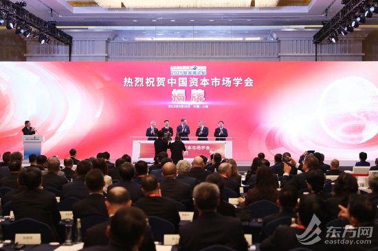 中国资本市场学会揭牌 进一步推动资本市场开放合作  第1张