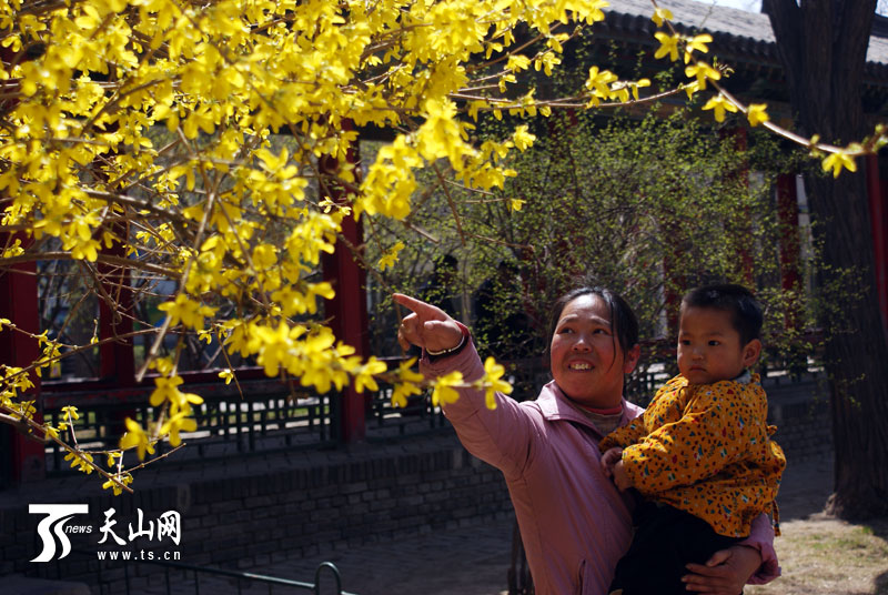 如何选择合适的休闲场所？场所选择要点有哪些？  第1张